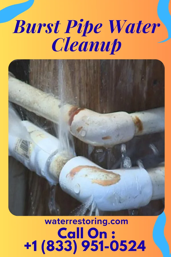 Burst Pipe Water Cleanup in New Richland, MN